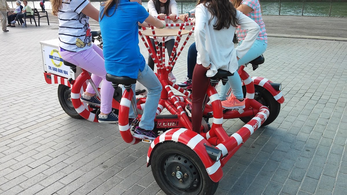 Zebra Loka