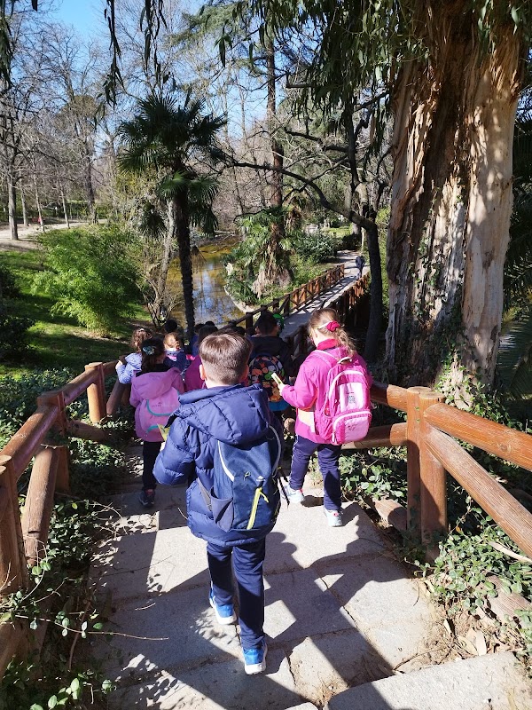 Cumpleaños Infantil al aire libre